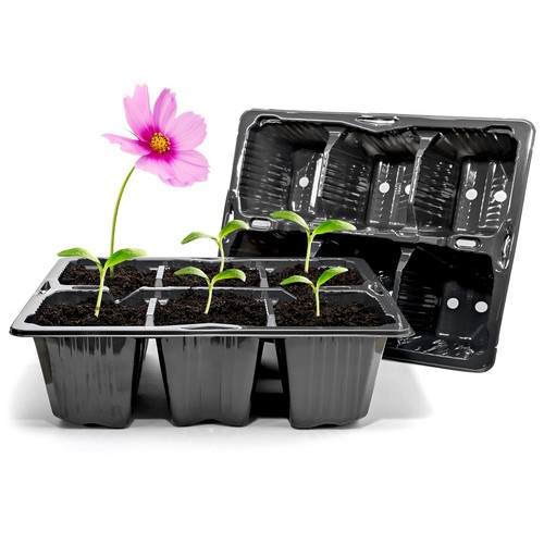 Cell bedding plant - 50, 6