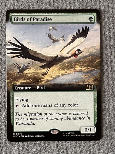 Birds paradise extended - of,