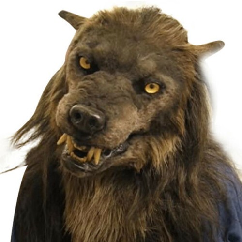 Halloween wolf mask faux - wolf,