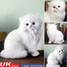 Realistic Persian Cat Animals