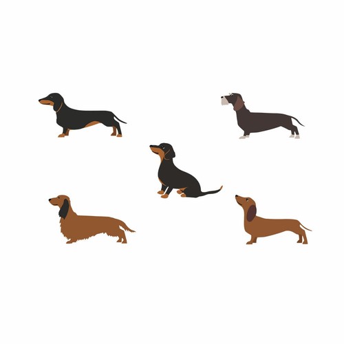 Set dachshund diy - of, 5