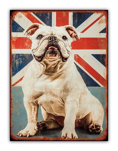 British bulldog union jack - british,