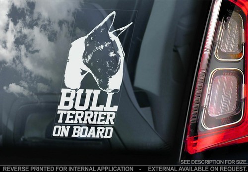 English bull terrier - terrier, car