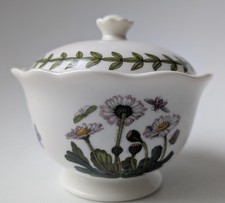 Portmeirion Botanic Garden