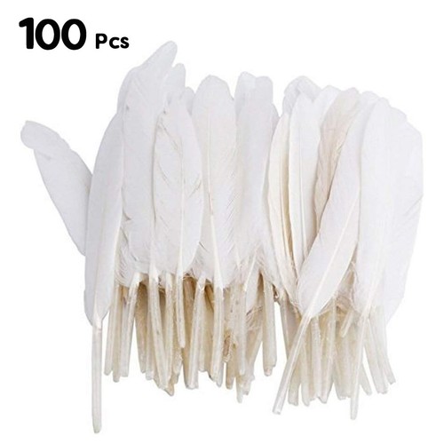 100 pcs natural goose feathers - goose,