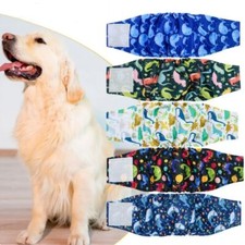 Male Dog Puppy Pet Nappy