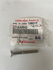 NEW GENUINE KAWASAKI ZZR1100