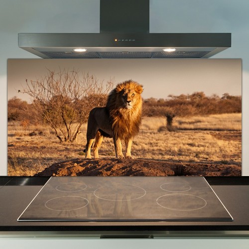 Glass kitchen splashback tile - glass,
