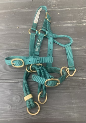 Monty roberts dually - monty,