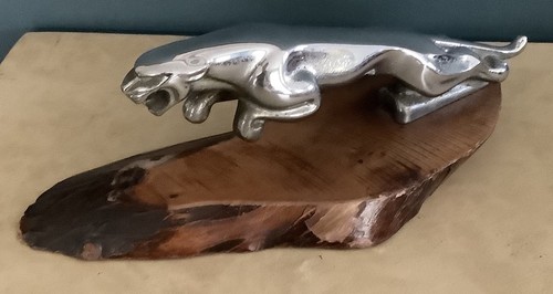 Jaguar leaper leaping cat - jaguar,