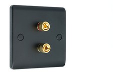 Speaker Wall Face Plate 2 Post