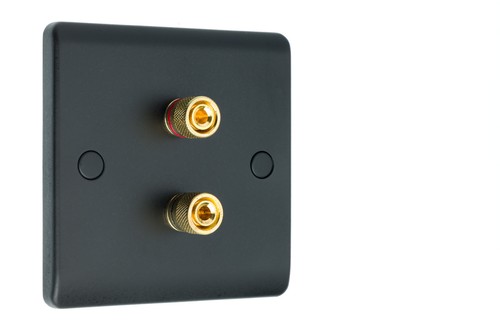 Speaker wall face plate - speaker,