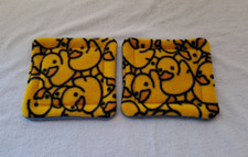 Two Guinea pig / Small animal