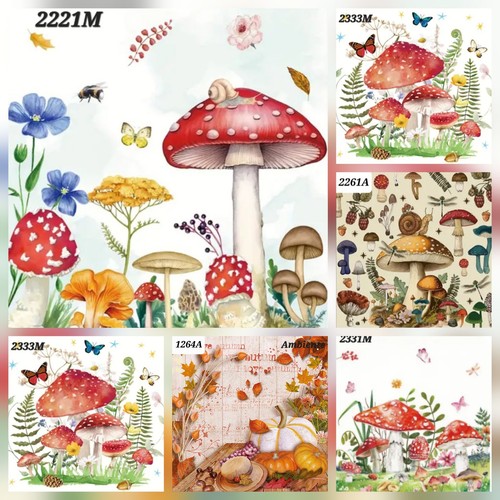 Mushrooms mixed table - x,