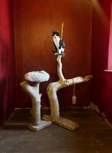 Large handcrafted driftwood - handcrafted,