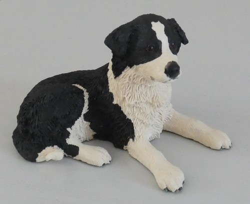 Pups galore border collie - pups,