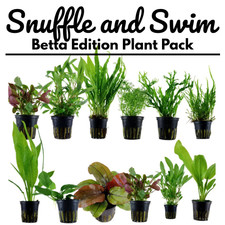 Aquarium Plant Pack (Betta