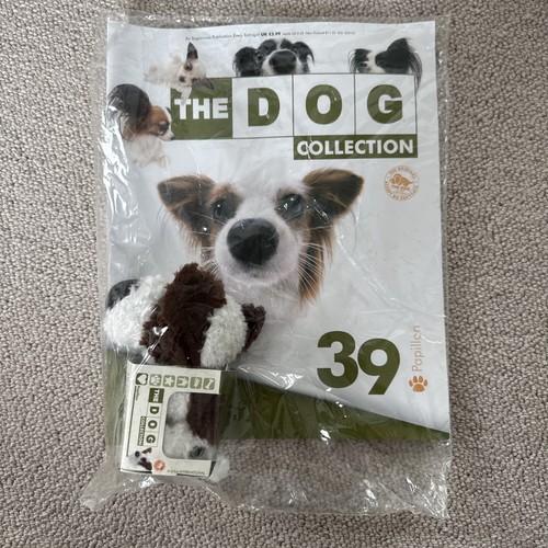 Number the dog papillon - 39,