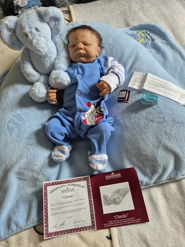 Vinyl reborn doll ashton - reborn,