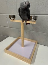 Parrot-Supplies Small Parrot Table Top Wooden Play Stand With Bowls,