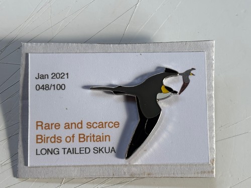 Rspb interest long tailed - interest, skua