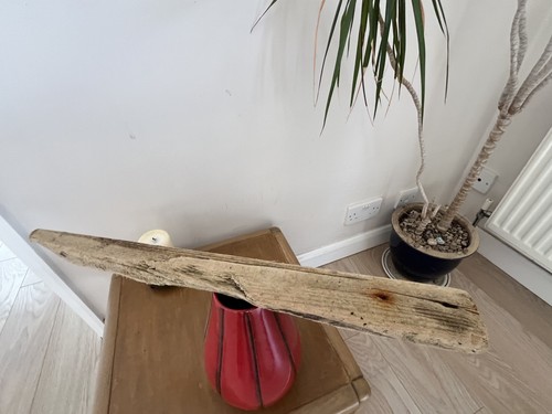 55cm flat character driftwood - flat,