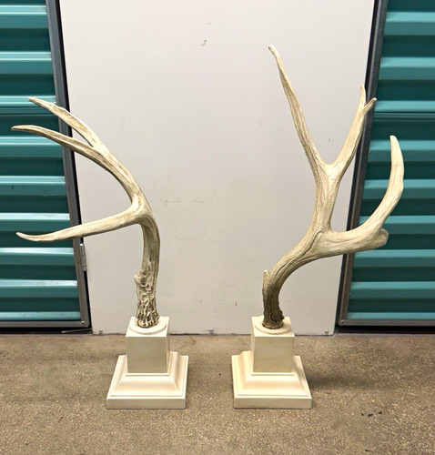 Mounted deer antlers pair - mounted,