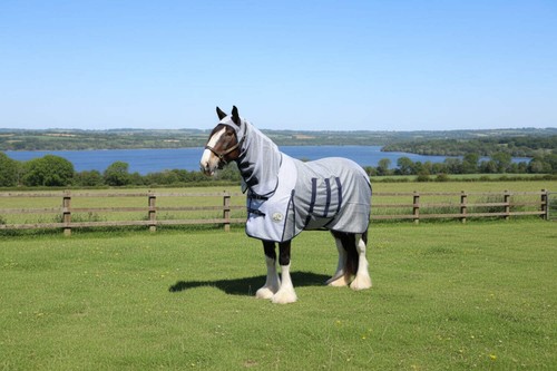 Ruggles heavy horse ultra - ruggles,