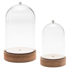 Plastic Bell Jar | Dome on MDF