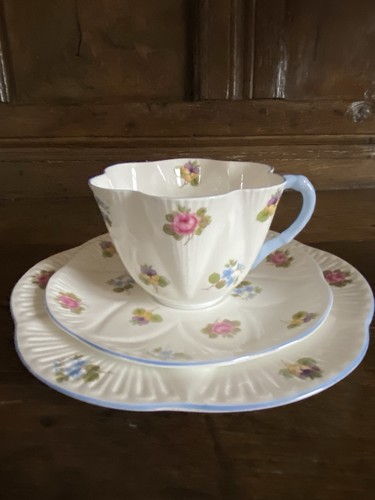 Shelly tea cup - tea, trio