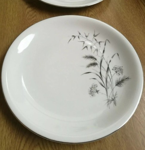 Scherzer bavaria dinner plates - dinner,