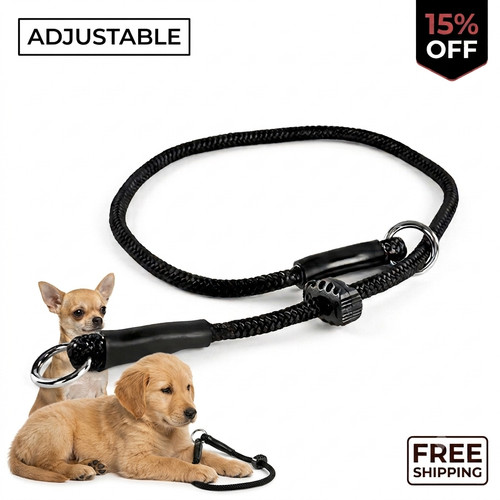 Slip collar for - collar, dogs