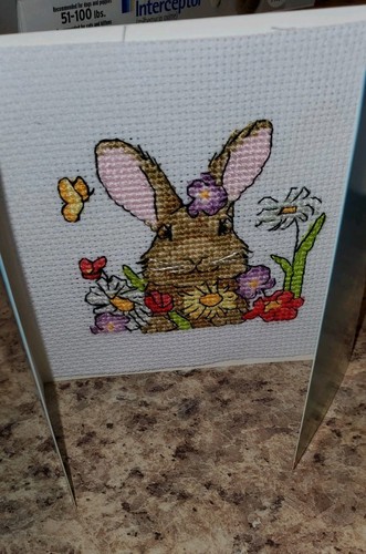 Margaret sherry bunny with - margaret,