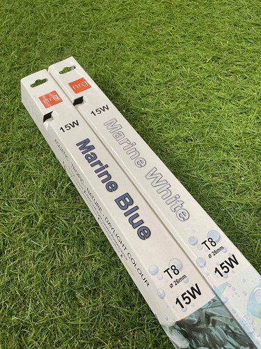 Dual marine white blue - dual, white+blue