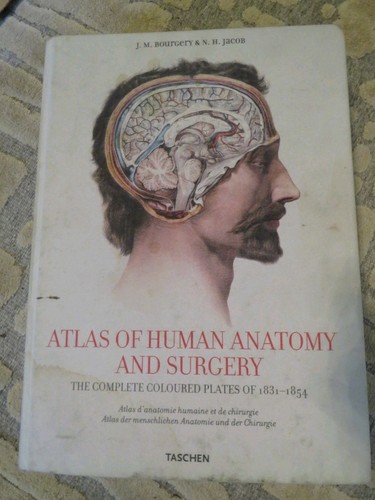 Taschen atlas human anatomy - human,