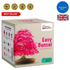 Complete Bonsai Starter Kit