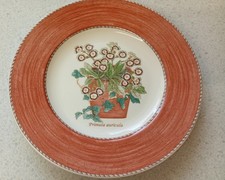 Sarah garden small plates - garden,