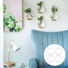 Clear Hexagonal Glass Vase