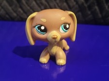 LPS 1751 Dachshund dog mocha teal eyes