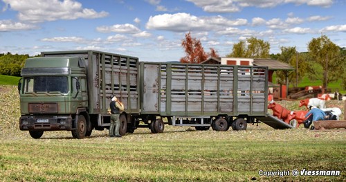 Cattle truck with trailer and