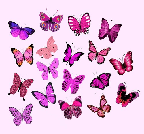 Pink mixed butterflies - x,