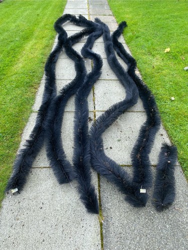 Genuine hedgehog gutter - hedgehog,