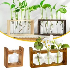 Glass Planter Plant Terrarium