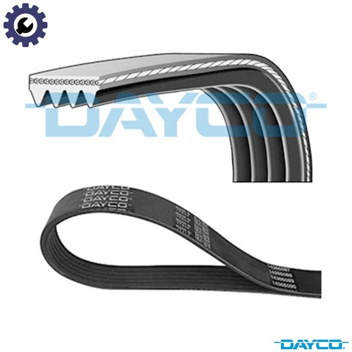 Vribbed belt 4pk900 - belt,