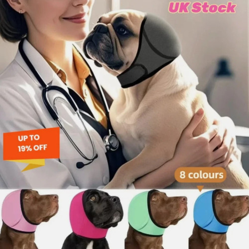 Hearing protection dog calming - hearing,