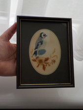 Sweet Vintage 1970's Goldfinch