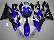 Blue Black ABS Injection Mold