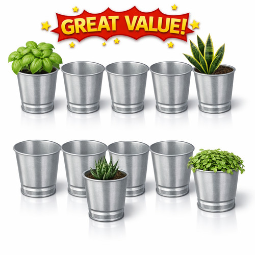 Galvanised metal plant pots - plant,