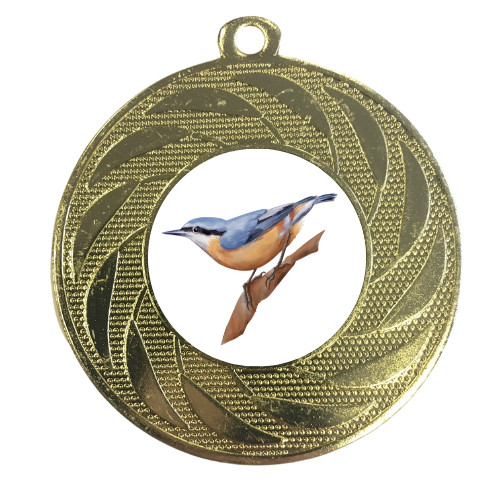 Big garden birdwatch medal - garden,
