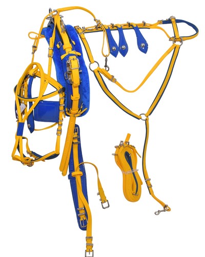 Trotting quick hitch - trotting,